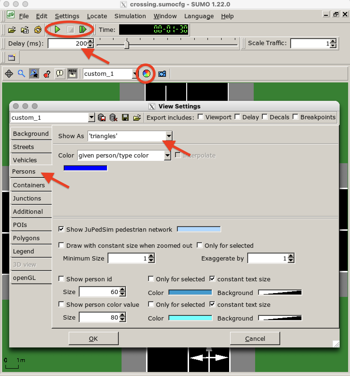 Settings of *sumo-gui*